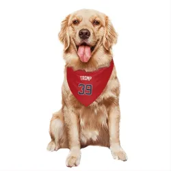 Atlanta Braves Chadwick Tromp Red Pet Bandana for Dog & Cat