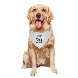 Atlanta Braves Chadwick Tromp White Pet Bandana for Dog & Cat