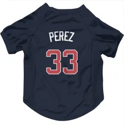 Atlanta Braves Martin Perez Navy Pet Jersey for Dog & Cat
